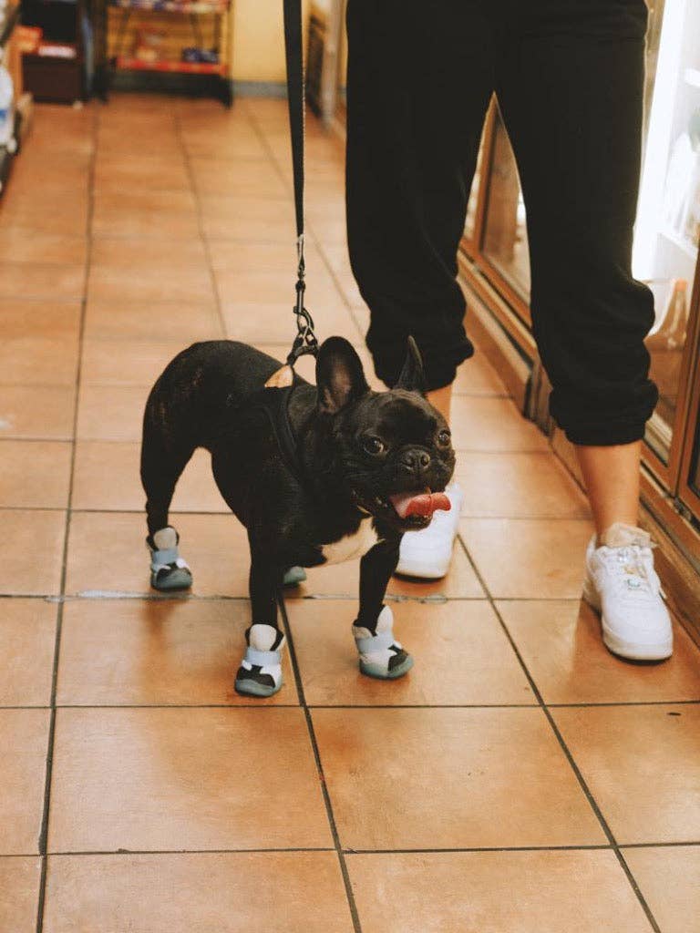 RIFRUF - Caesar 1S: Borough / 3/4