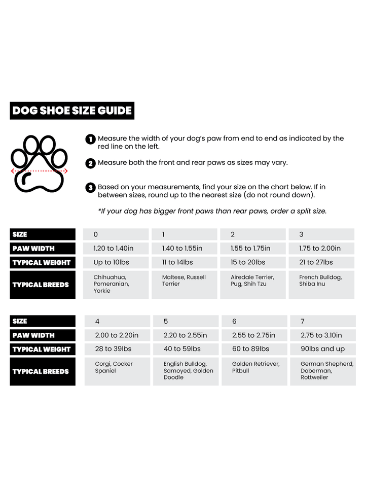 RIFRUF - Apollo 1: Sakura / 2