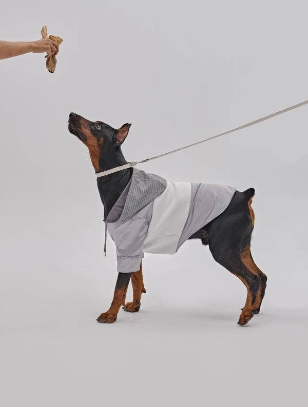 PEHOM - Pet Neoprene Zip Hoodie: M