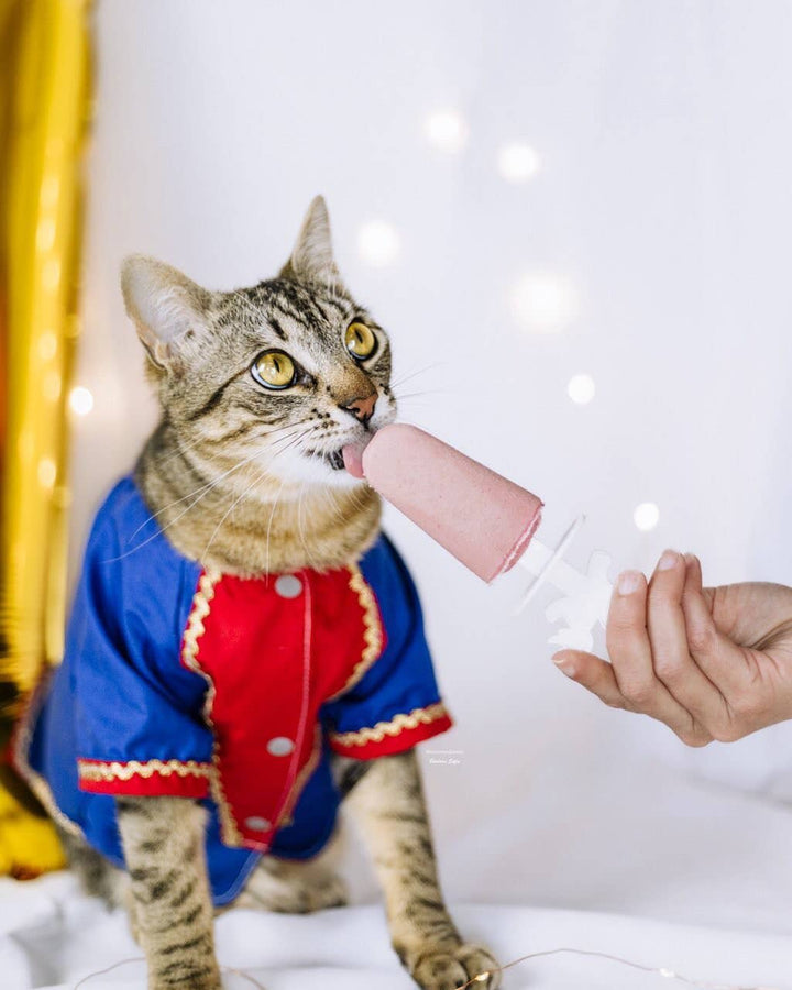 Cooka's Cookies - Ice-cream Mix with real chicken & strawberry for pets