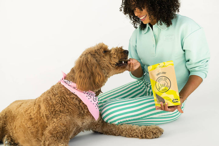 Winnie Lou - The Canine Co. - Turkey Jerky