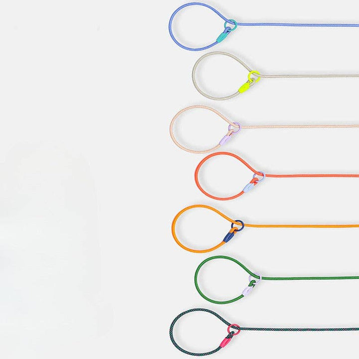 Cheerhunting - Loofie - Lightweight Nylon Dog Leash: Grey