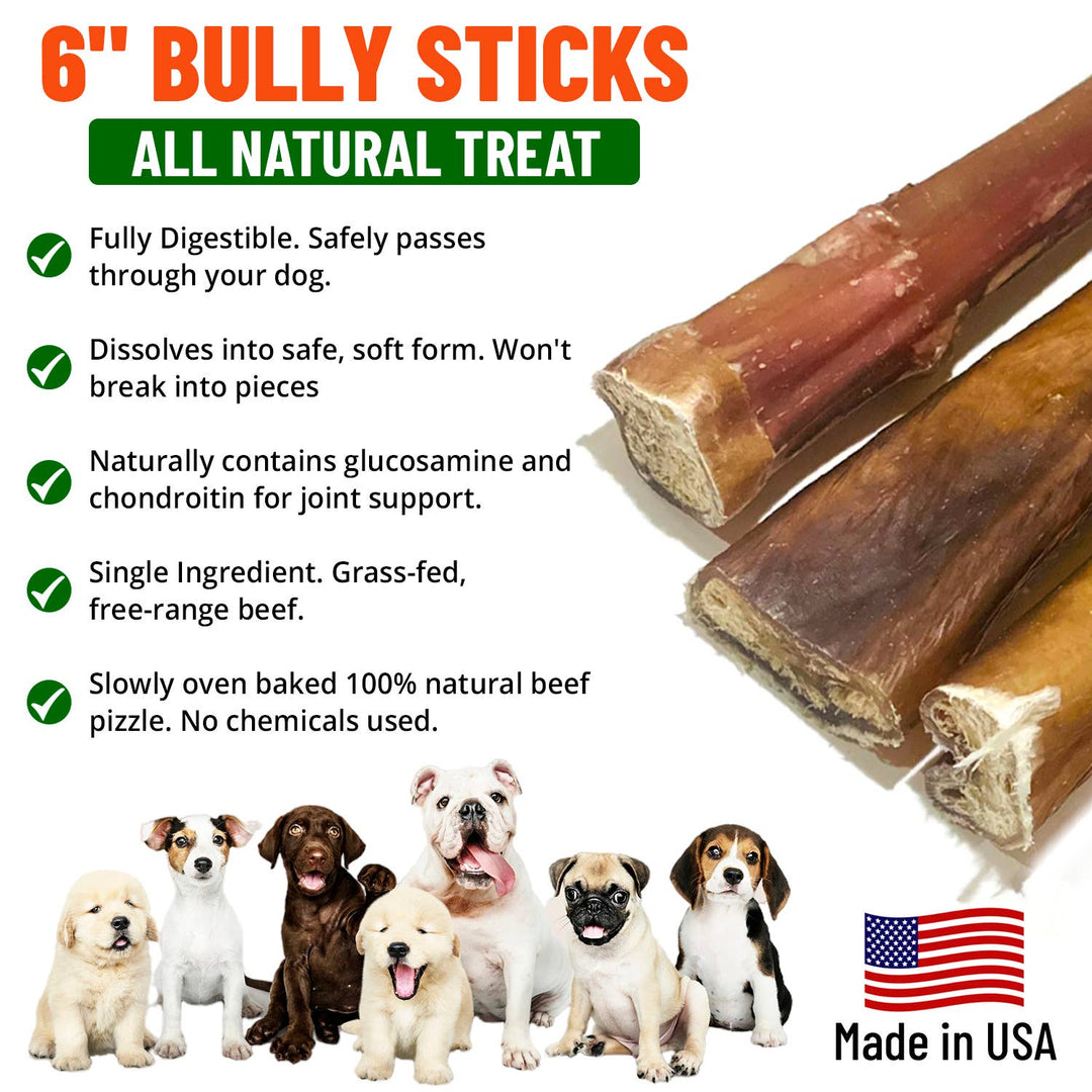 Live Pawsitive - 6 Inch Jumbo Bully Sticks 3 Pack