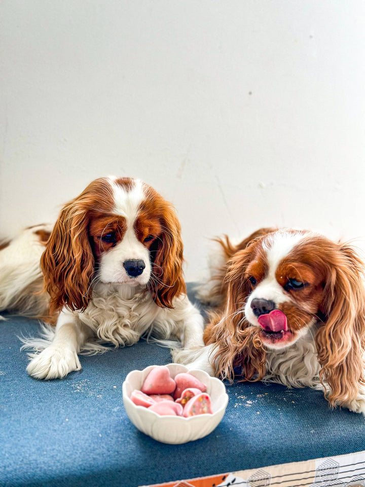 Cooka's Cookies - Ice-cream Mix with real chicken & strawberry for pets