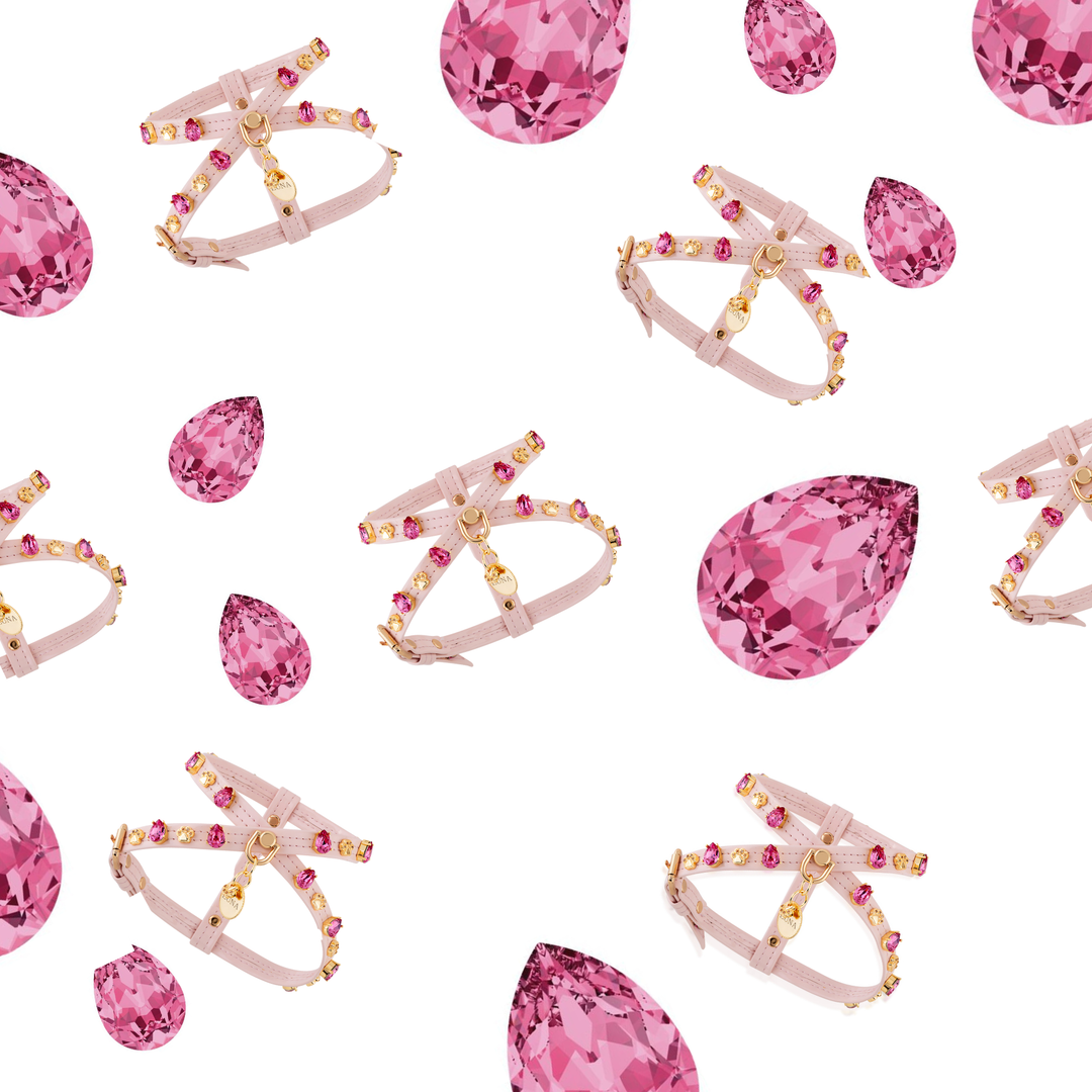 Paw London - Chelsea Pink Swarovski Dog Harness + Collar +  Chain Leash: XS / No