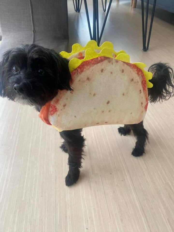 Show & Tail - Pet Apparel - Spec-Taco-Ler Dog Taco: XS