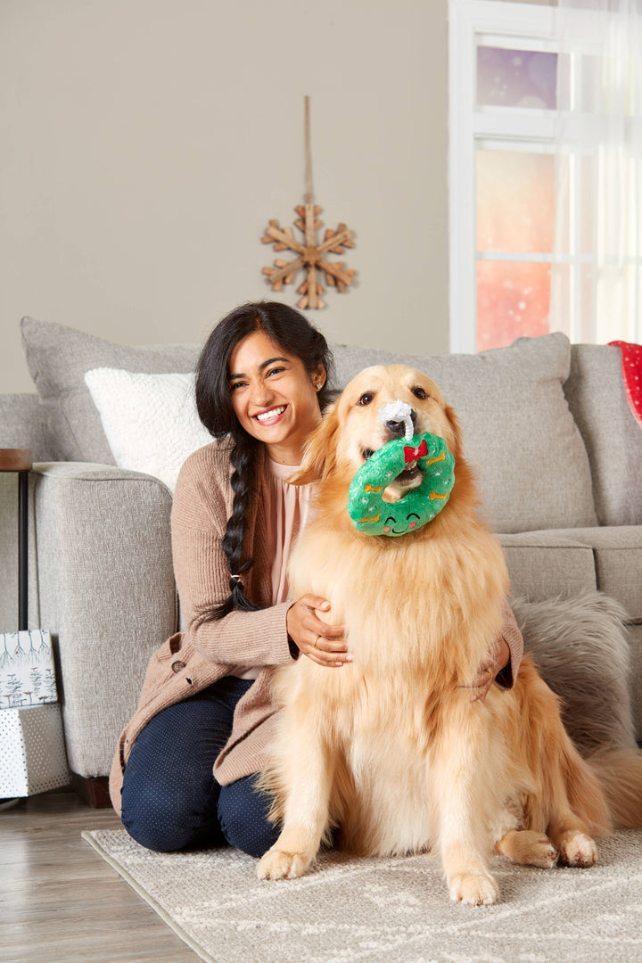 Pet Palette Distribution - Pearhead Howliday Wreath