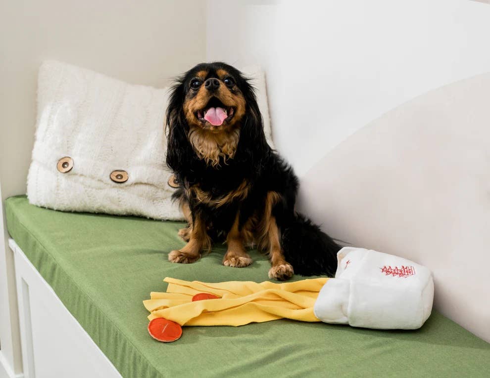 Pet Palette Distribution - Injoya Take Out Snuffle Toy