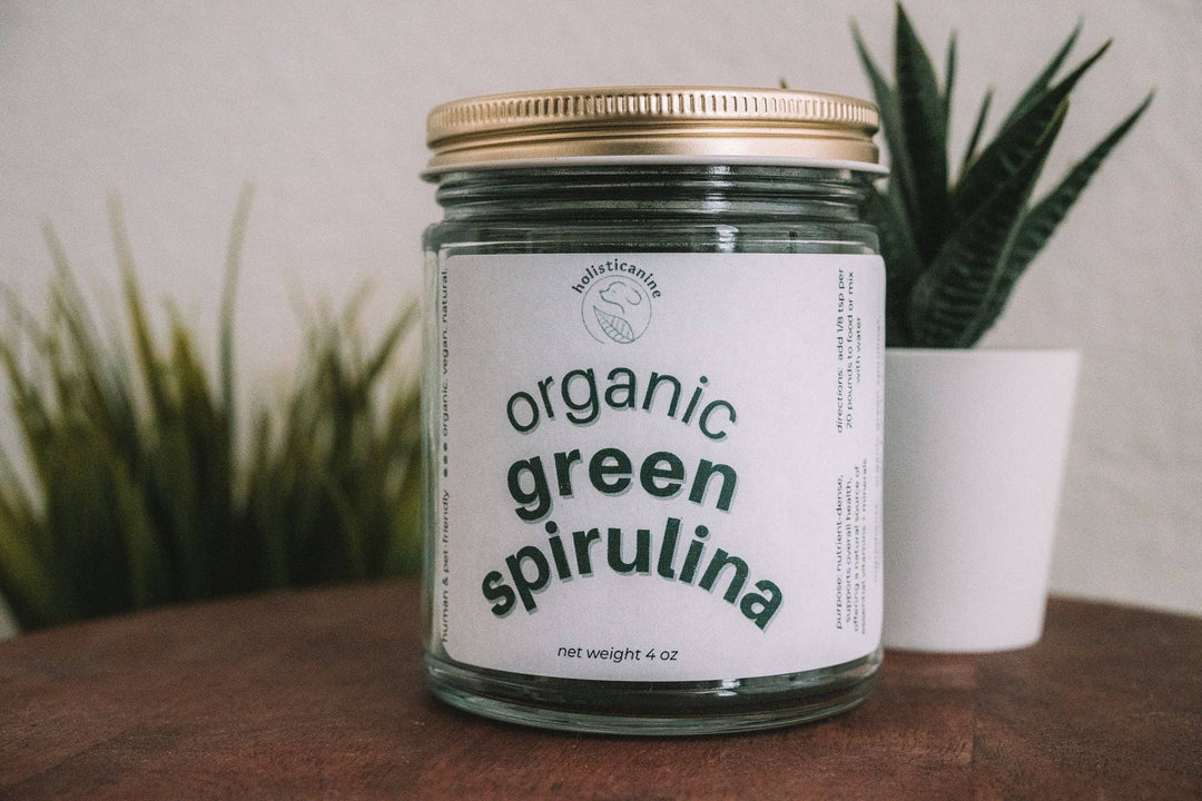 holisticanine - Organic Green Spirulina | Anti-Inflammatory and Antioxidant: Glass jar