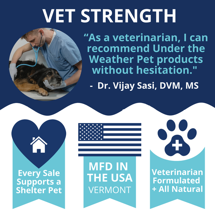 Under the Weather Pet - Scoot Stop Soft Chews for Dogs