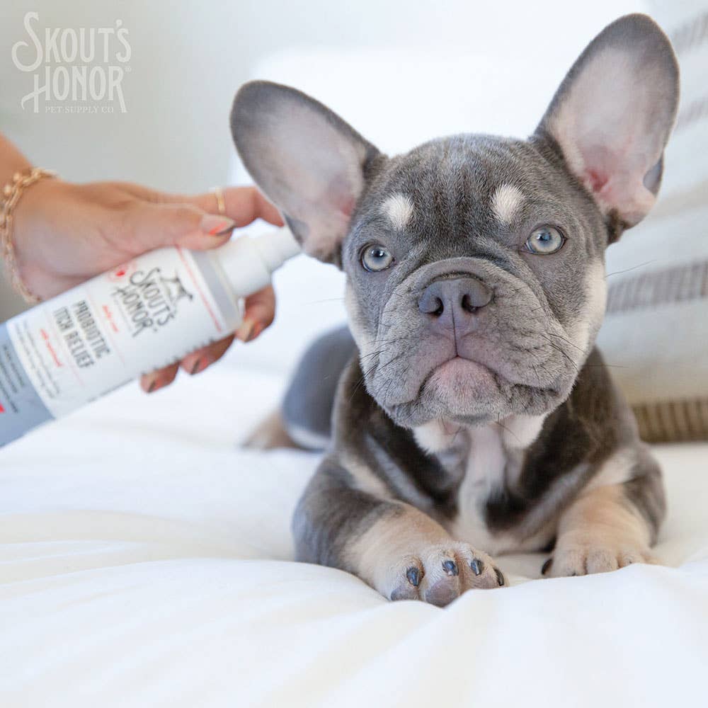Pet Palette Distribution - Skout's Honor Probiotic Itch Relief 8 oz