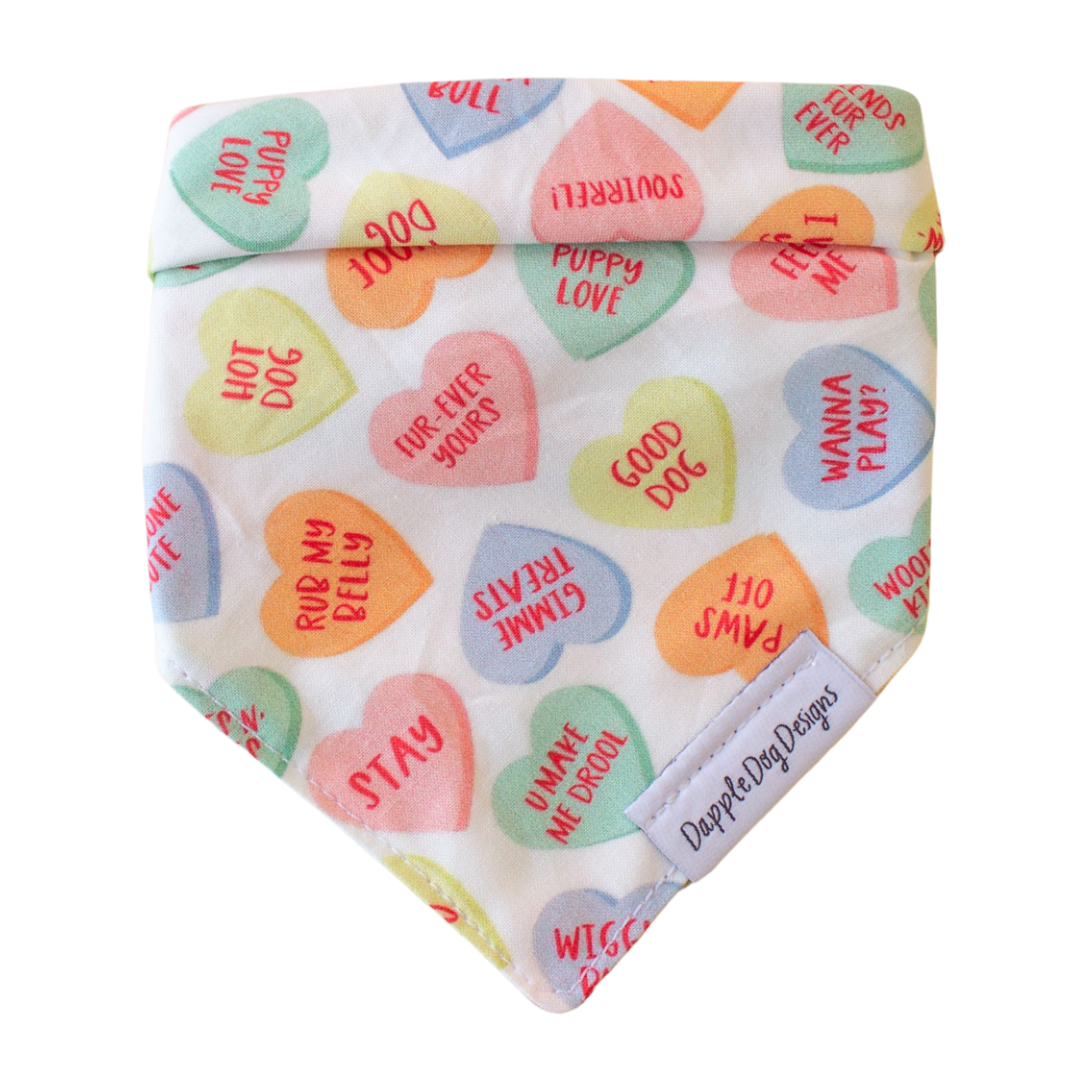 Dapple Dog Designs - Conversation Hearts Bandana - Valentine's Day Dog Bandana