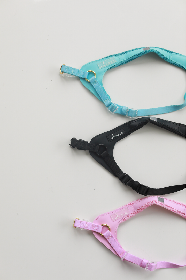 Cavology - DOG HARNESS STEP IN EASY ON MESH MANGO