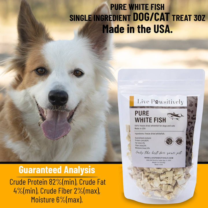 Live Pawsitive - White Fish Freeze Dried Dog/Cat Treat 3oz
