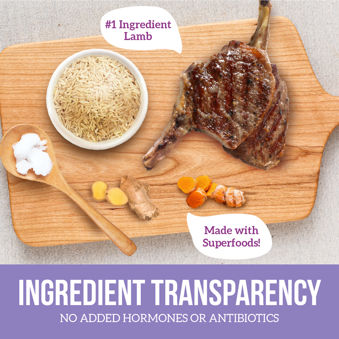 Health Extension Pet Care - Lamb & Brown Rice Recipe: 15 lbs