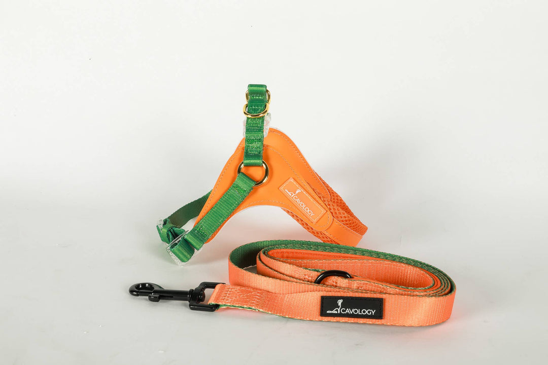 Cavology - DOG LEASH DOUBLE SIDED TWO TONED VINYL FALL ORANGE GREEN