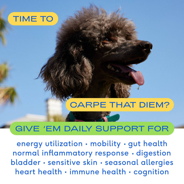 Native Pet - THE DAILY: 7oz