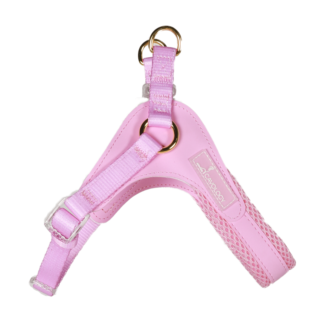 Cavology - DOG HARNESS STEP IN EASY ON MESH MANGO