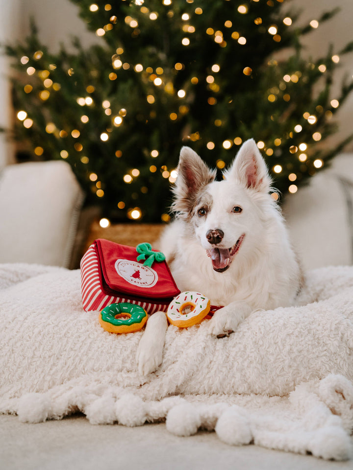 Pet Palette Distribution - ZippyPaws Holiday Burrow Donutz Box