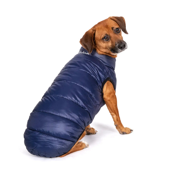Fab Dog - Blue Combo Pack N Go Reversible Puffer