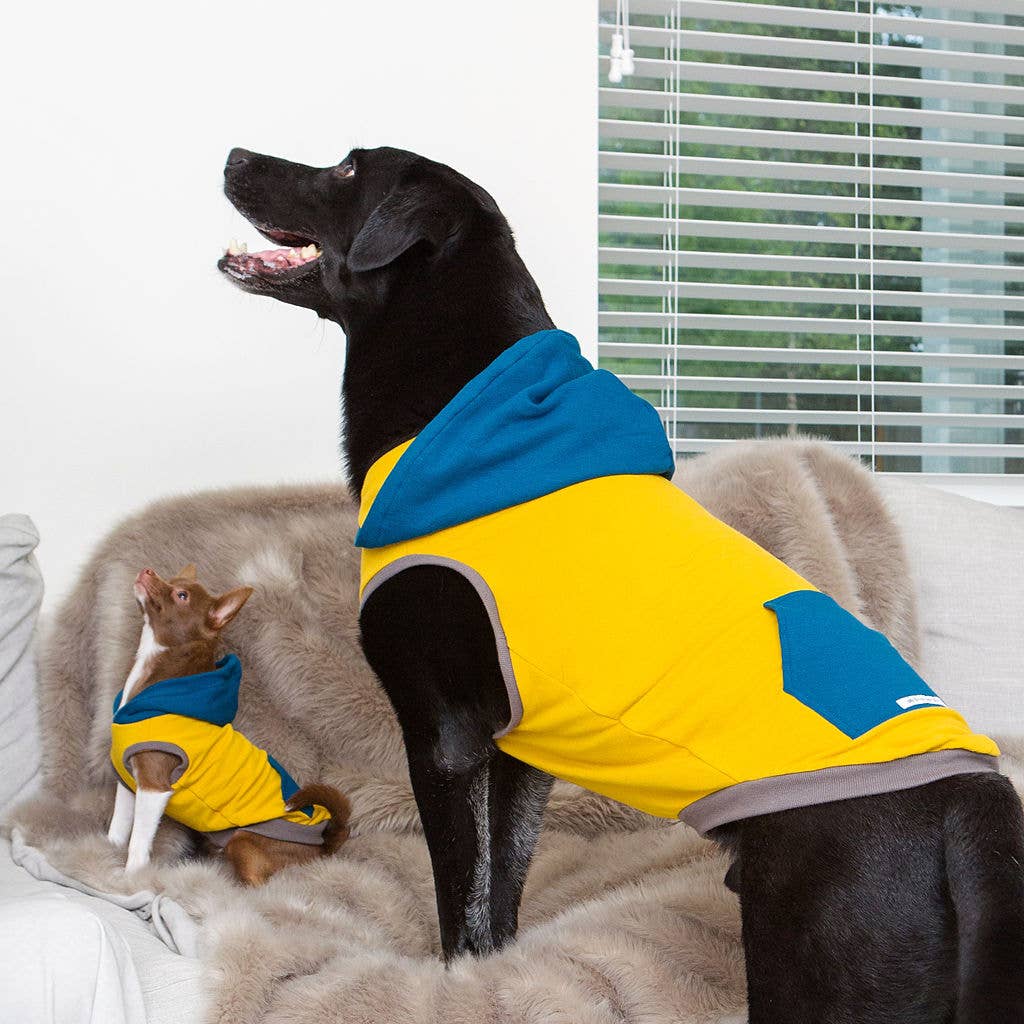 The Sharper Barker - Yellow & Teal Dog Hoodie the "Nugget"