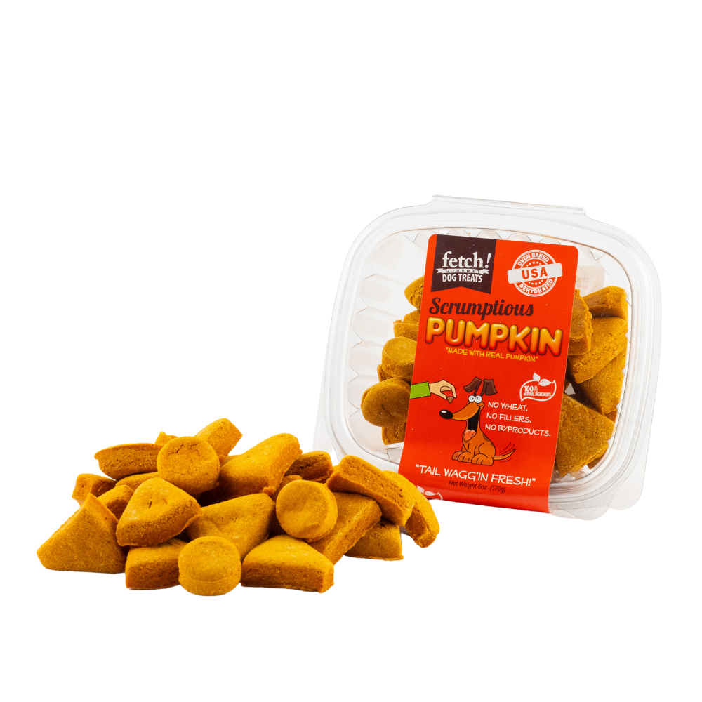 fetch! Dog Treats - Pumpkin and Honey Biscuits