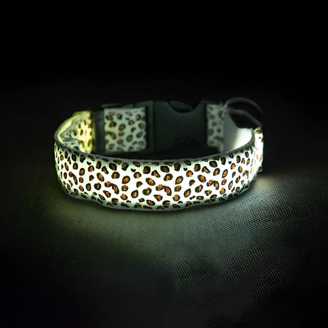 Cheerhunting - LED Dog Collar