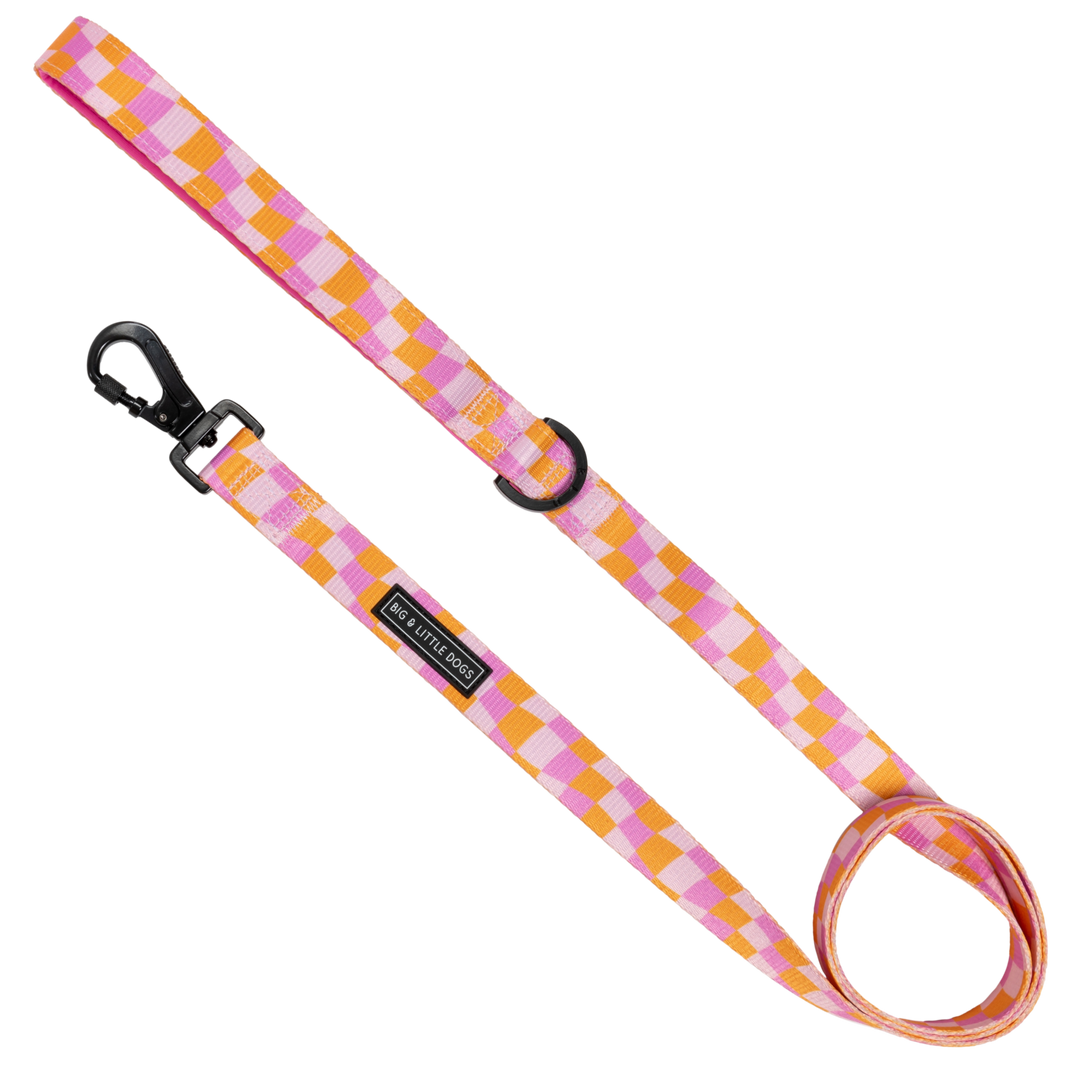 Big and Little Dogs - DOG LEASH: Check Yo'Self