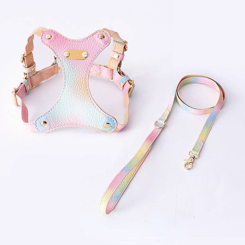 Cheerhunting - Loofie - Colorful Dog Harness & Leash