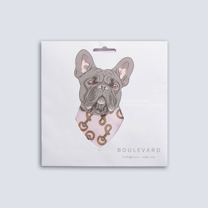 Boulevard - Remy Bandana Buckle