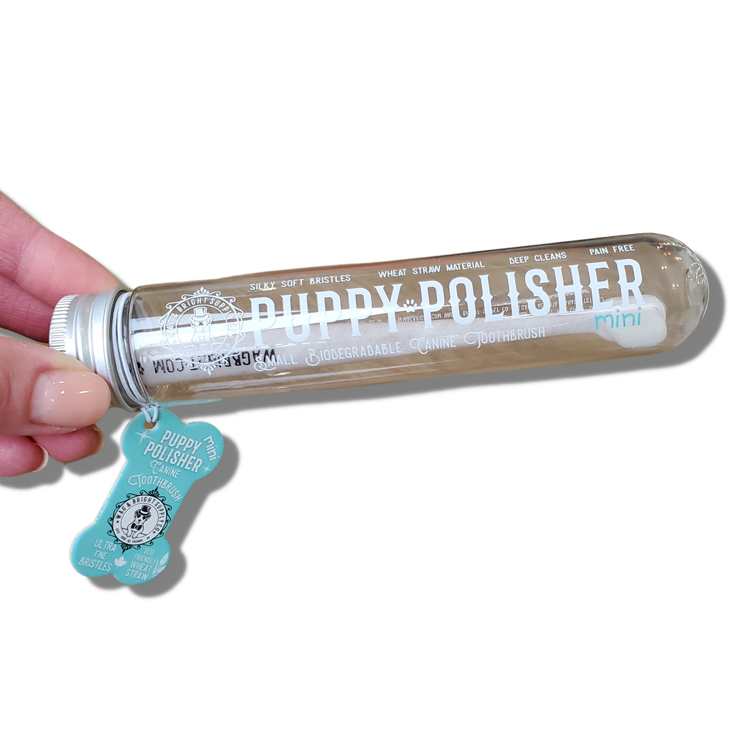 Wag & Bright Supply Co. - Puppy Polisher Mini Toothbrush
