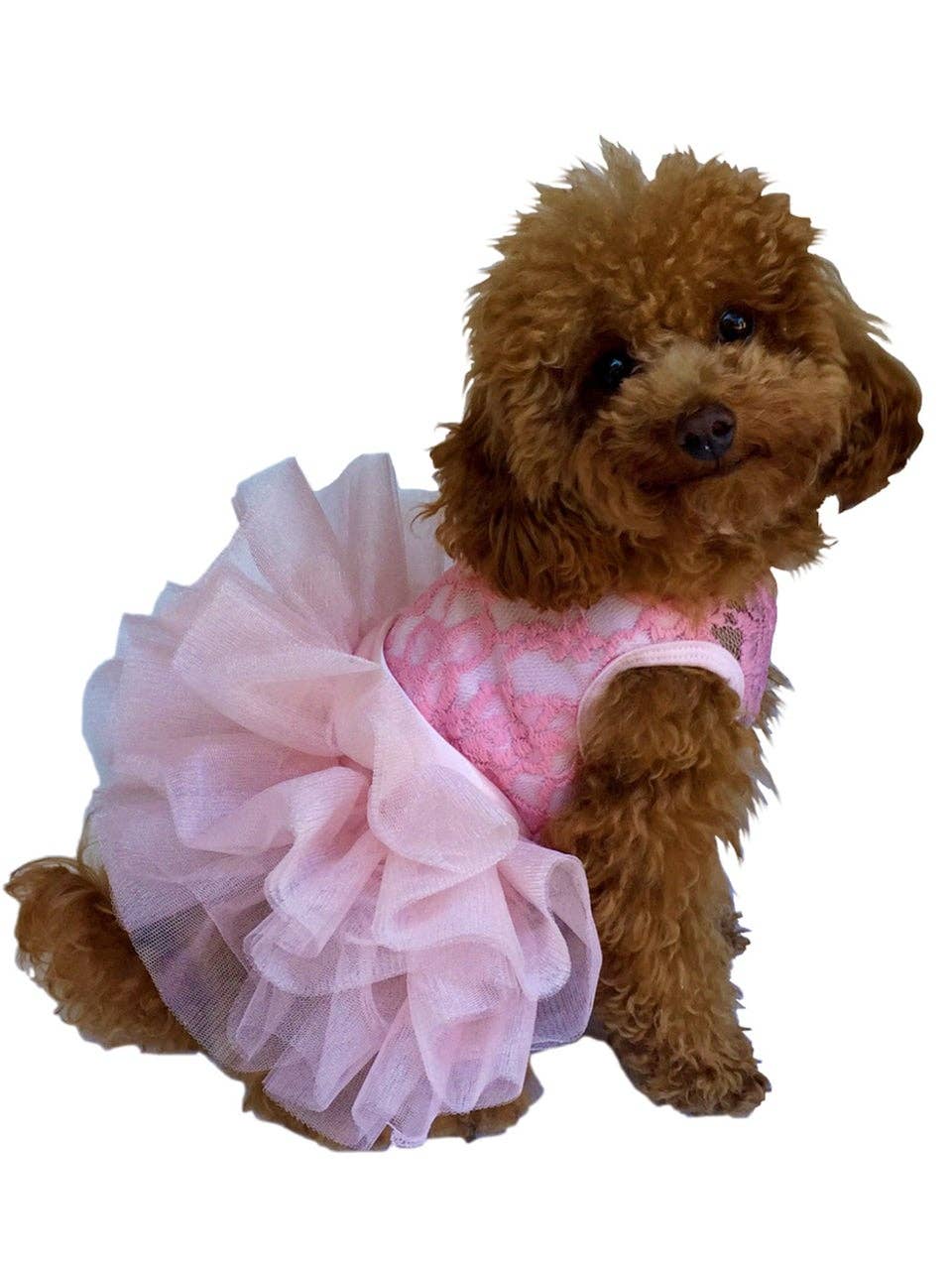 The Dog Squad - Fufu Tutu Lace, Pink