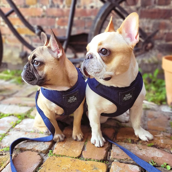 Doodle Couture, New York - City Denim 6 Piece Puparazzi Gift Set