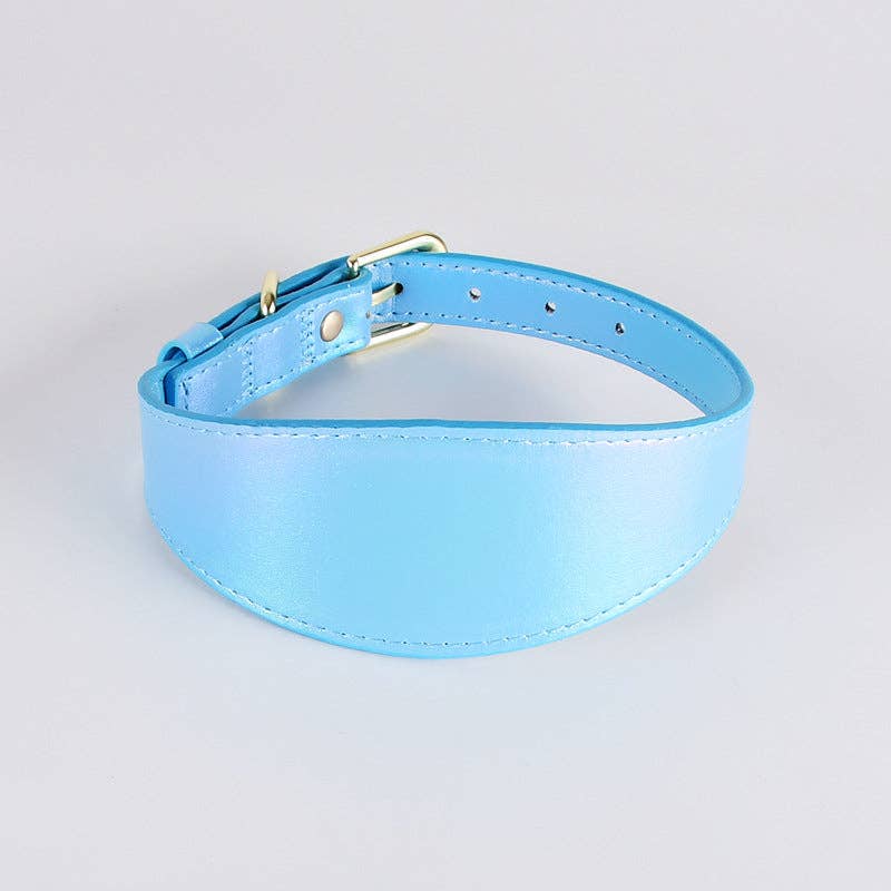 Cheerhunting - Loofie - Reflective Dog Collar