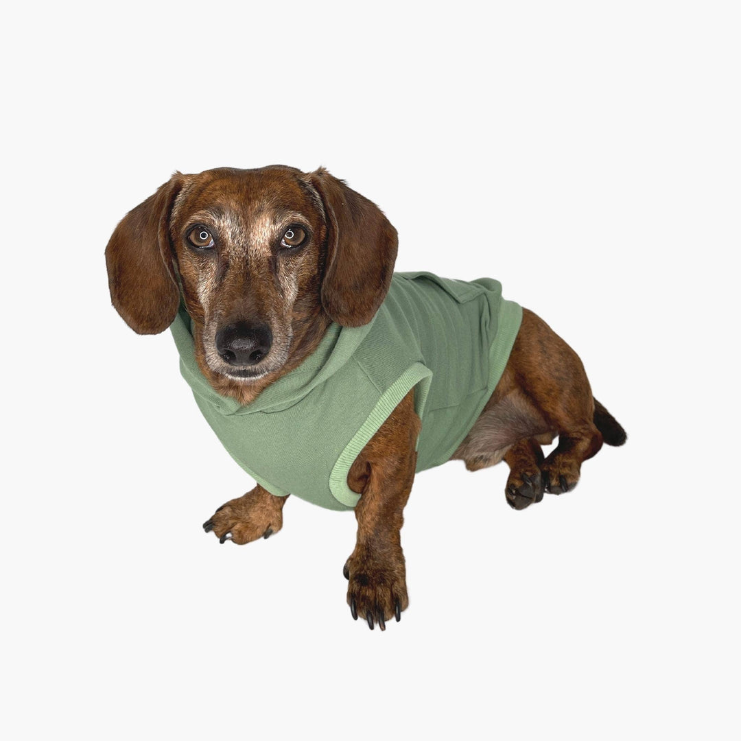 The Sharper Barker - Bamboo Dog Hoodie - Olive Green Sleeveless Fleece