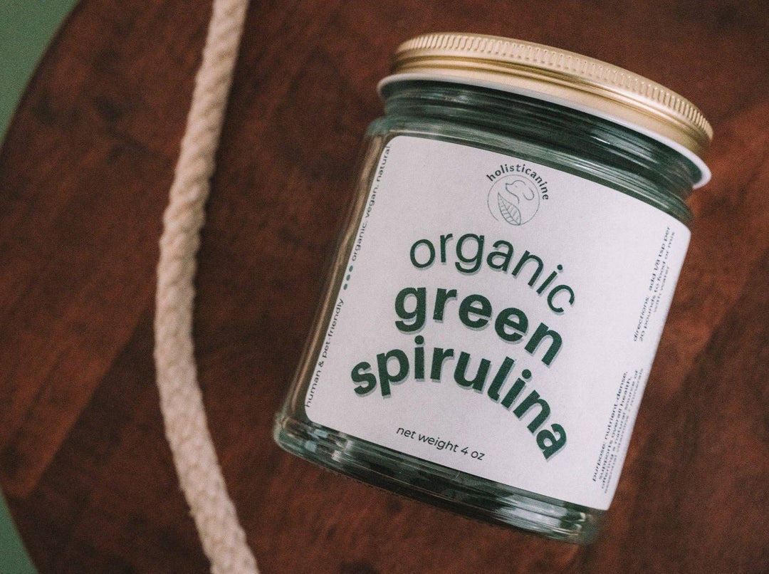 holisticanine - Organic Green Spirulina | Anti-Inflammatory and Antioxidant: Glass jar