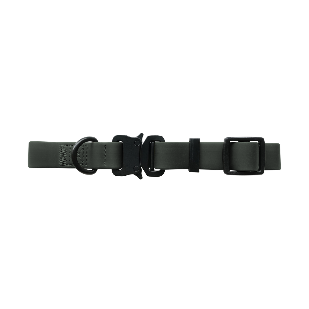 Lambwolf Collective - AVA | quick-release metal buckle collar