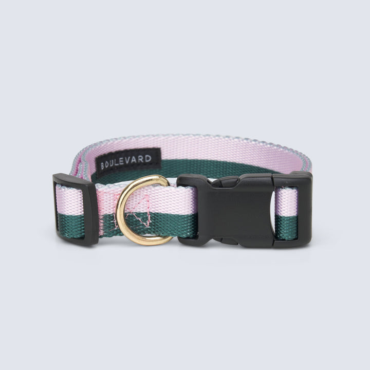 Boulevard - Stripe Dog Collar