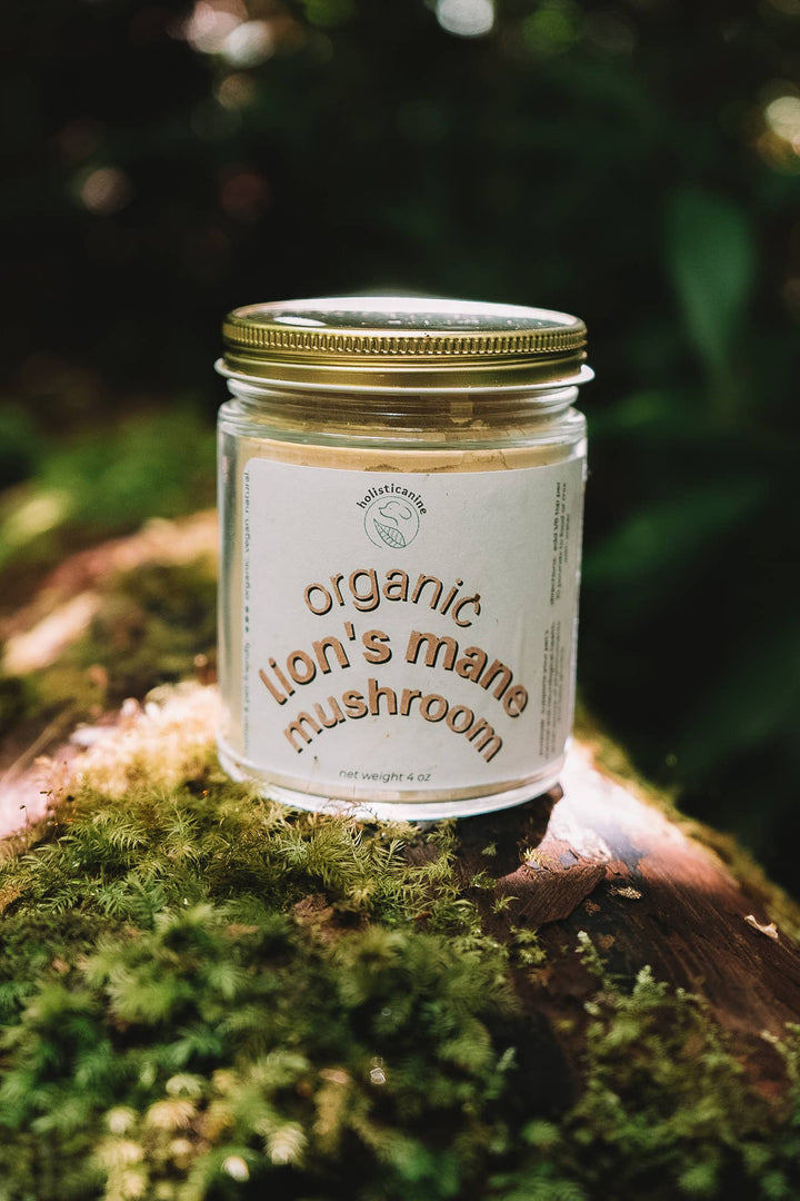 holisticanine - Organic Lion's Mane Mushroom Supplement