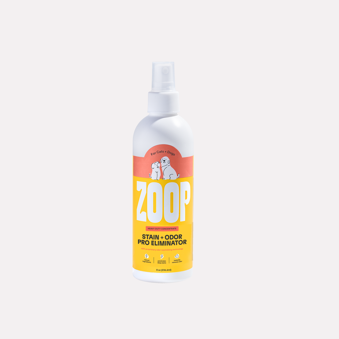 Zoop - Enzyme-Powered Natural Stain and Odor Pro Eliminator - 8 oz