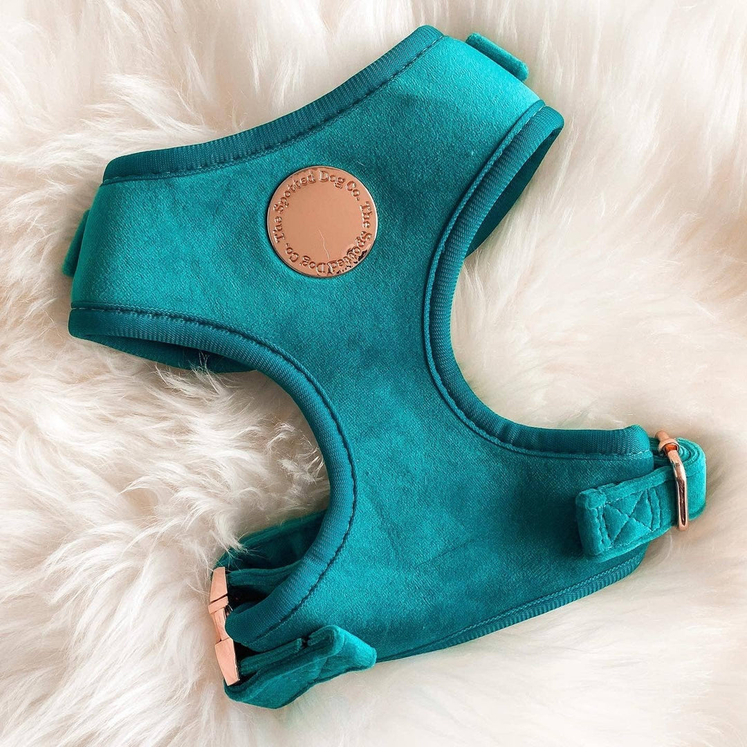The Spotted Dog Company - Jade Velvet Harness: Small