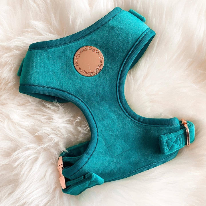 The Spotted Dog Company - Jade Velvet Harness: Small