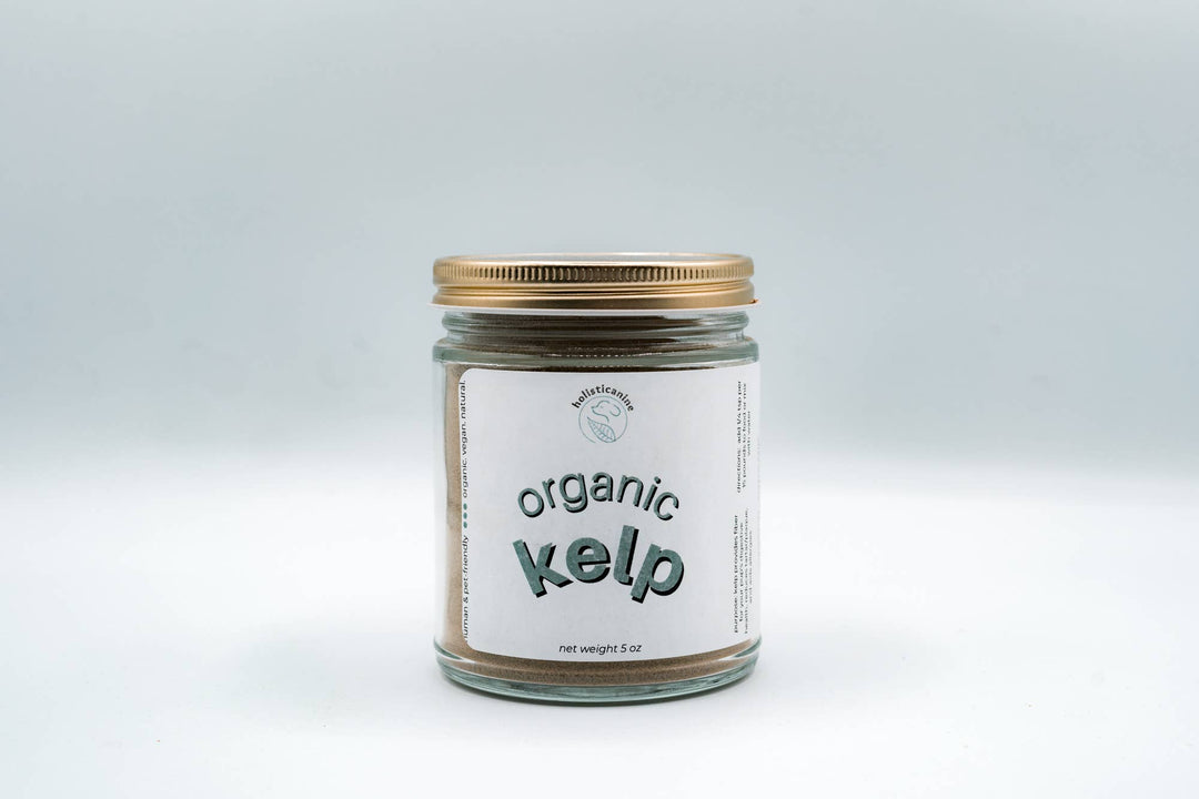 holisticanine - Organic Kelp Supplement