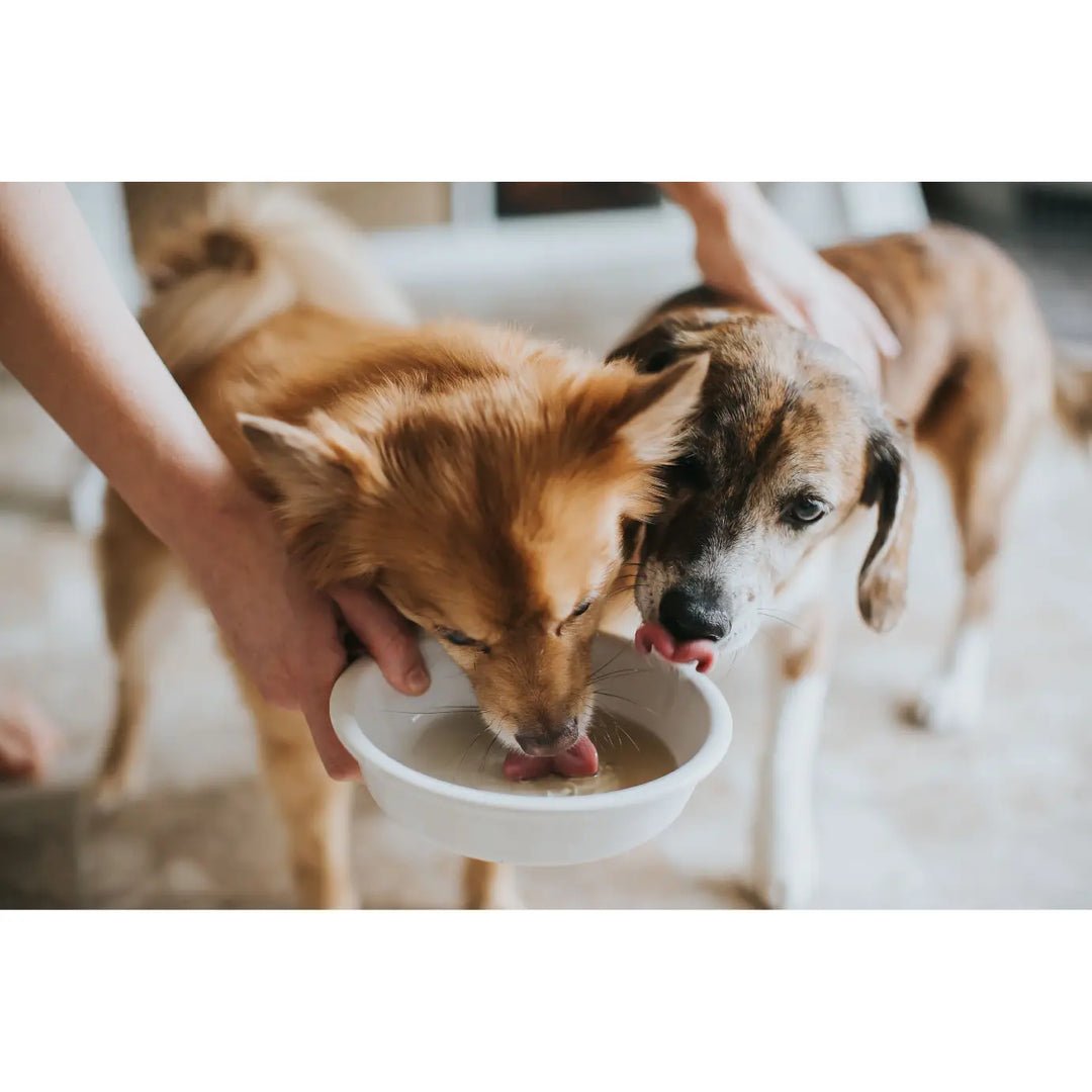 Crude Carnivore - Pork Bone Broth