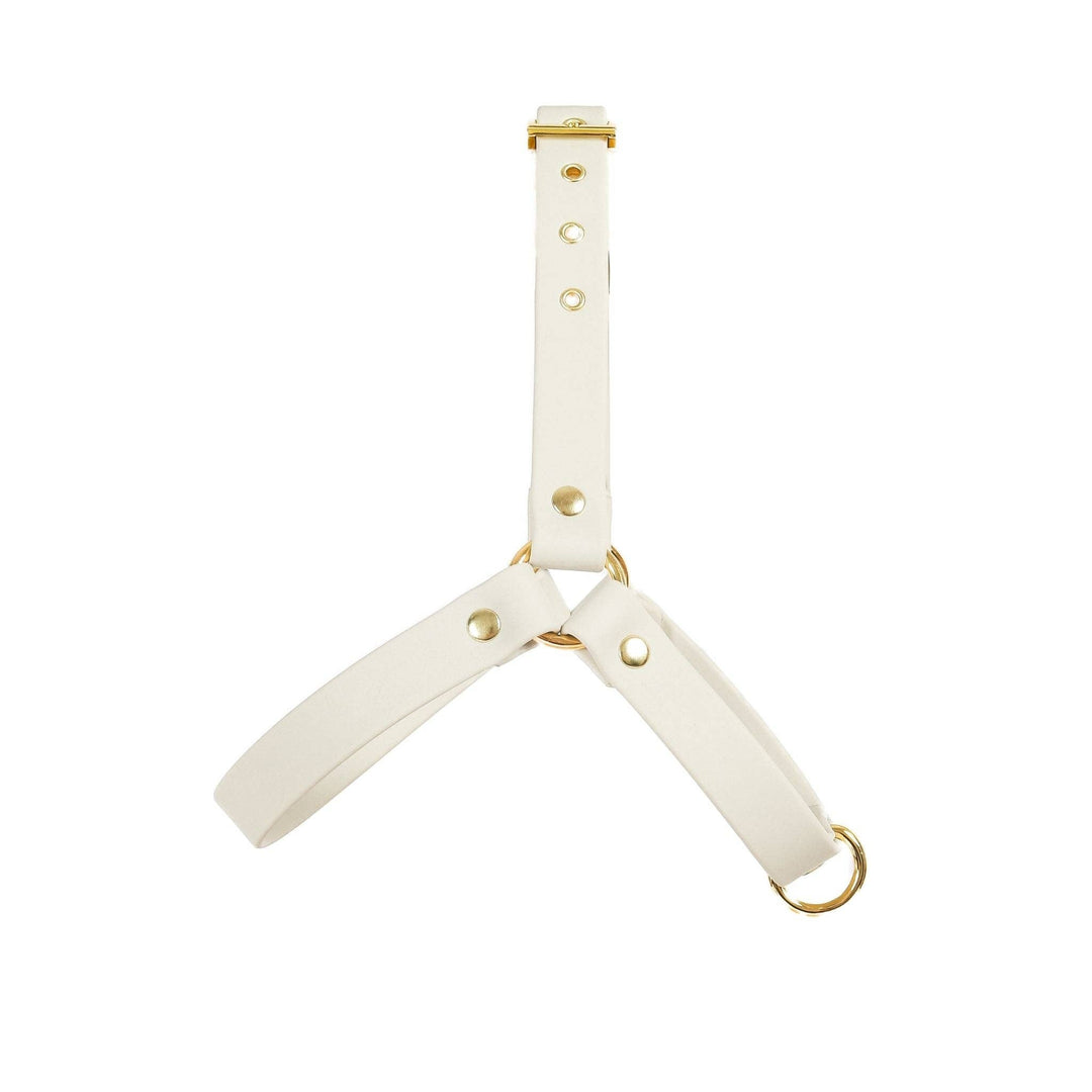 Cavology - DOG HARNESS STEP IN LUXE HARNESS - WHITE AND GOLD WEDDING