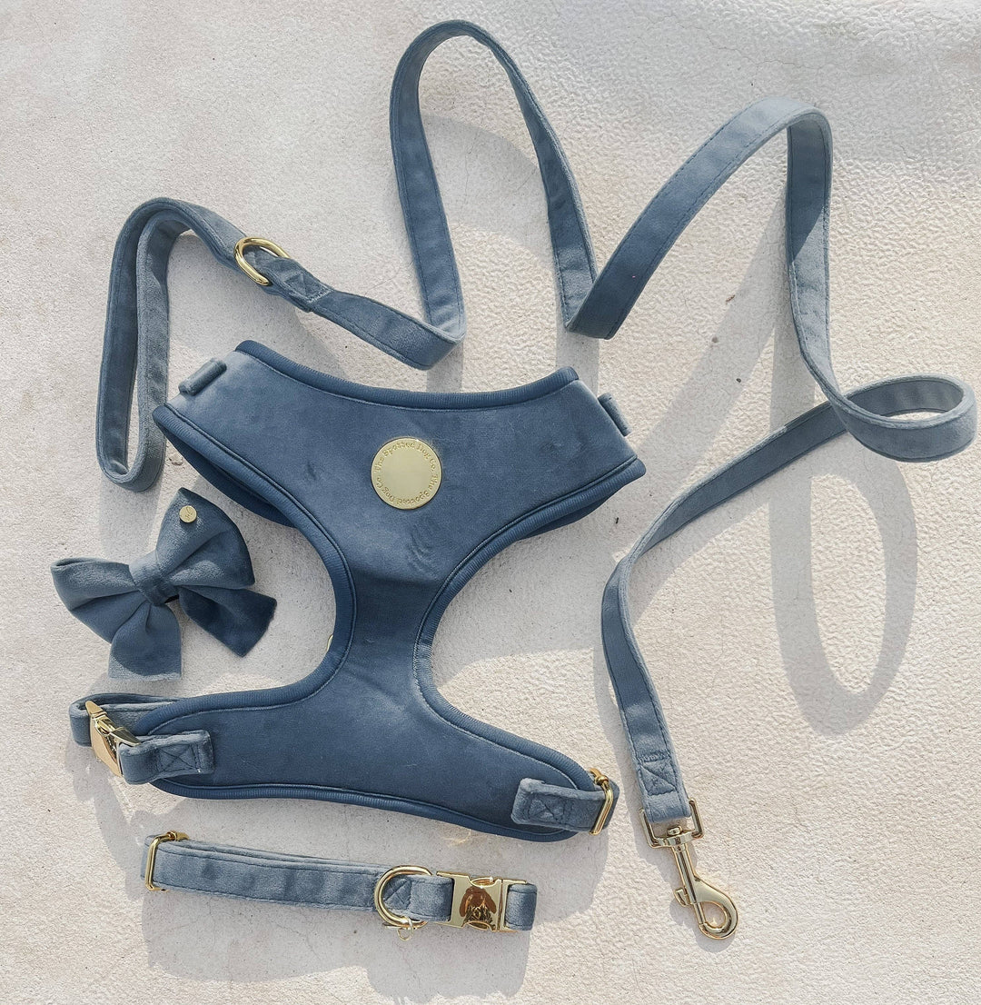 The Spotted Dog Company - Petrol Velvet Dog Lead