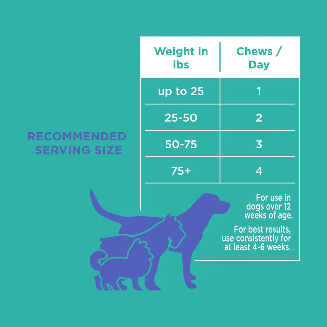 Natural Rapport - The Only Digestive Support Soft Chews Dogs Need