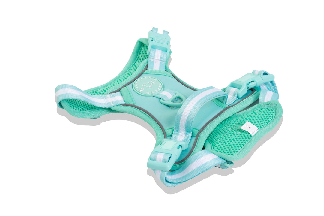 The Sharper Barker - Reflective Dog Harness - Turquoise