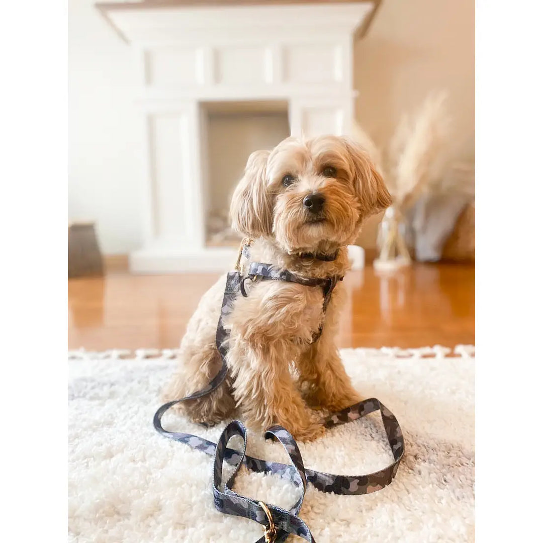 Boulevard - Camo Dog Leash