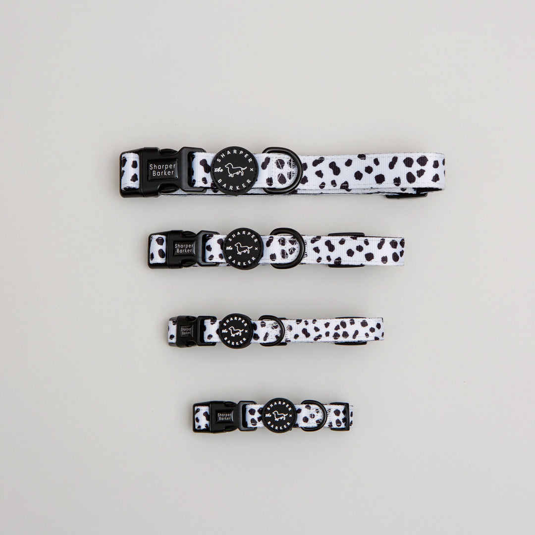 The Sharper Barker - Dog Collar - Dalmatian, Padded, Quick Release